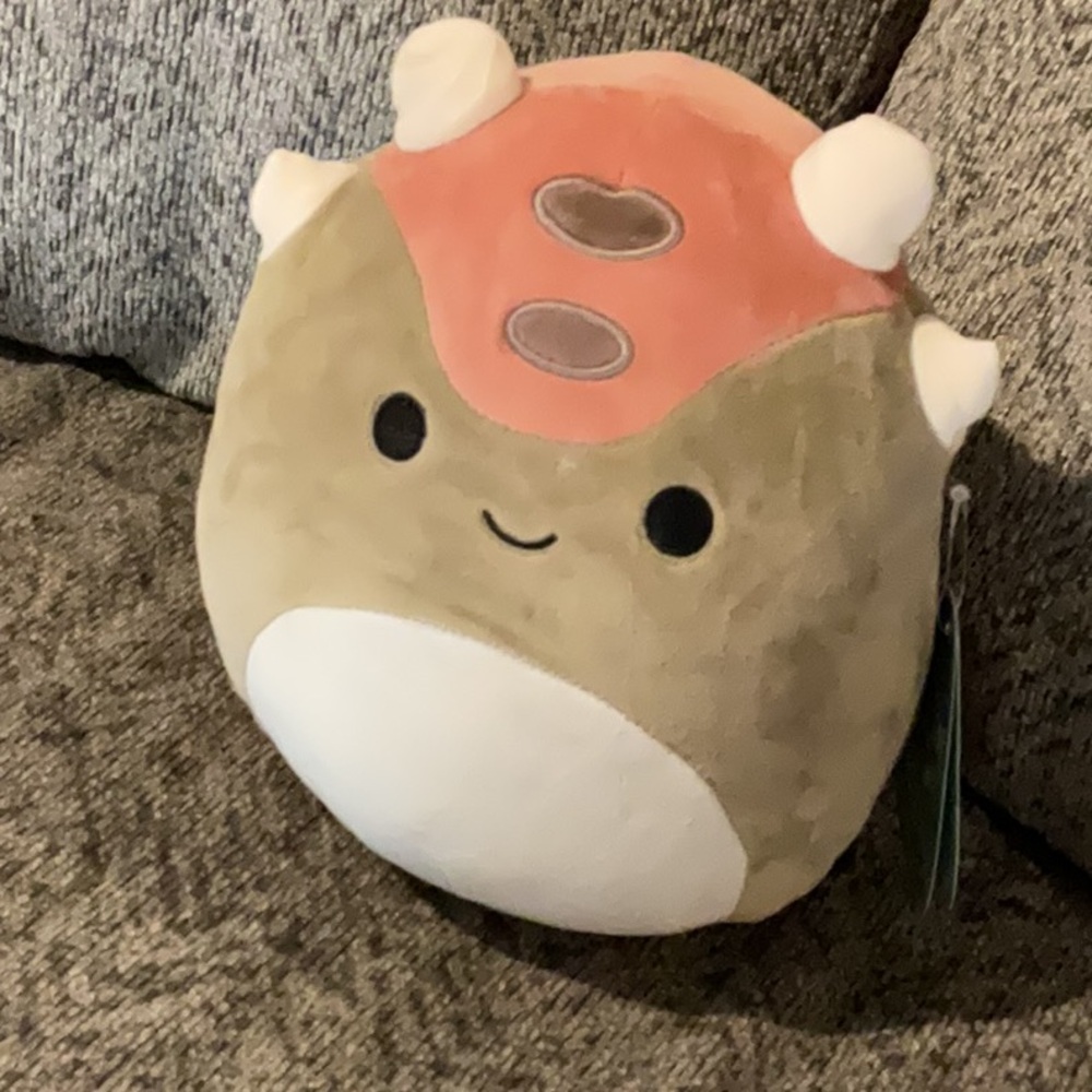 NWT Squishmallows Ainhoca  Plush Toy